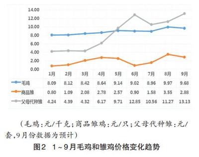 2014年前三季度白羽肉雞產(chǎn)業(yè)發(fā)展與未來走勢分析