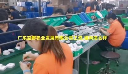 廣東益野農(nóng)業(yè) 領(lǐng)航畜牧漁業(yè)飼料銷售，助推現(xiàn)代農(nóng)牧業(yè)發(fā)展